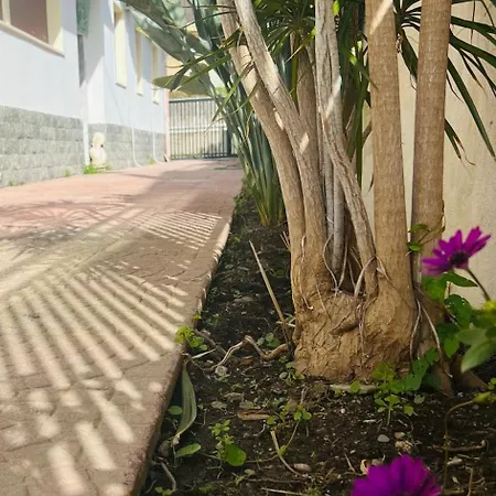 Pina * Reggio Calabria