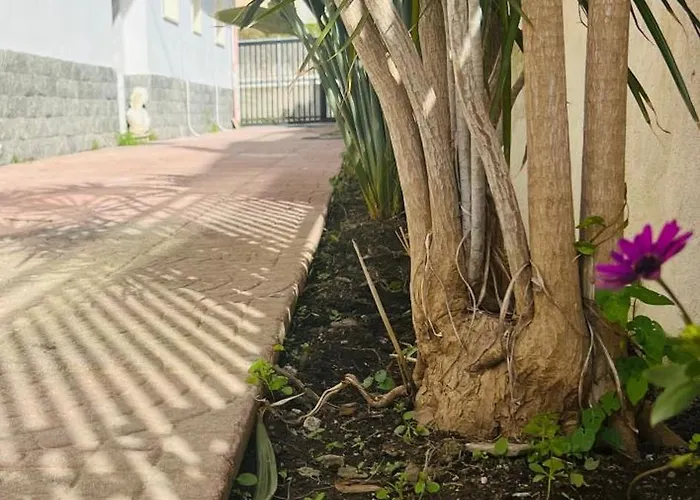 Pina * Reggio di Calabria